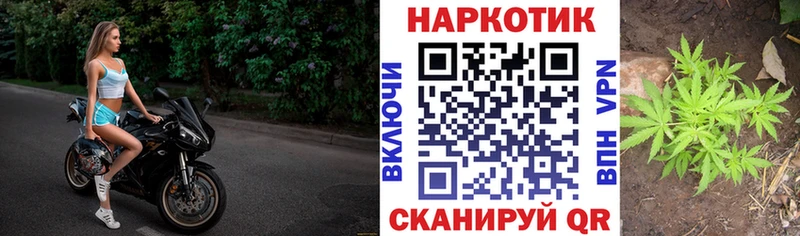 Цена Нолинск Бошки Шишки Cocaine ГАШ